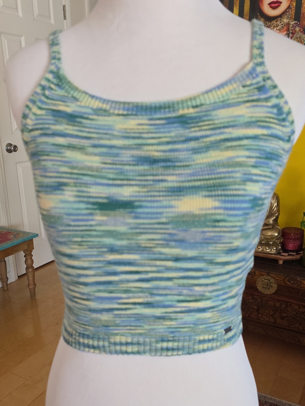Hollister Blue and Green Space-Dye Cropped Knit Tank